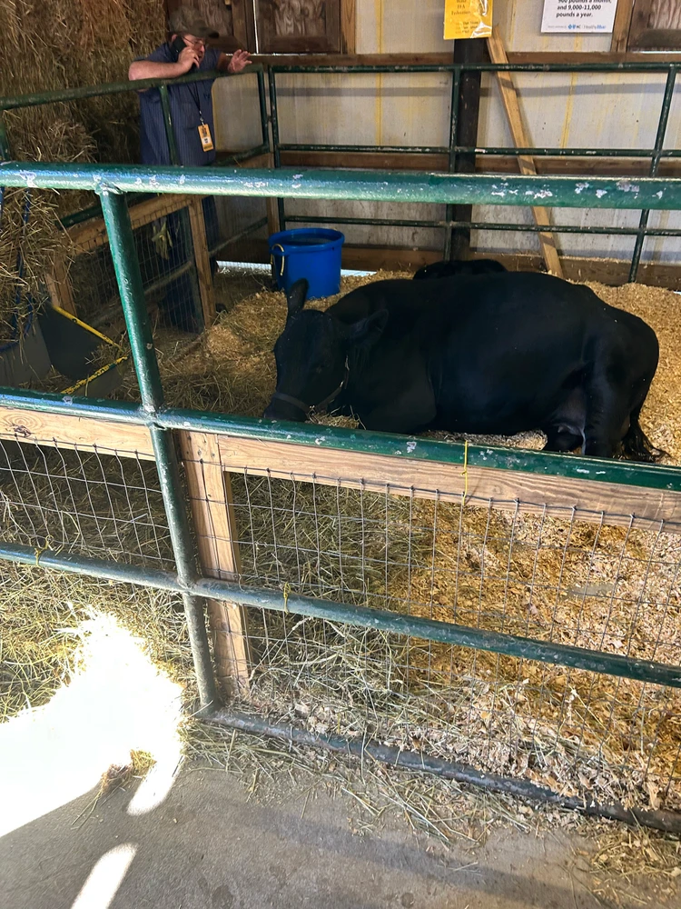 Gambar diunggah dening Jake