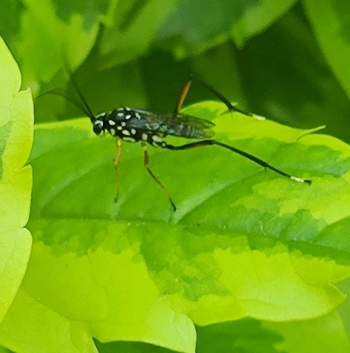 Imagen subida por Carolina Tsawek