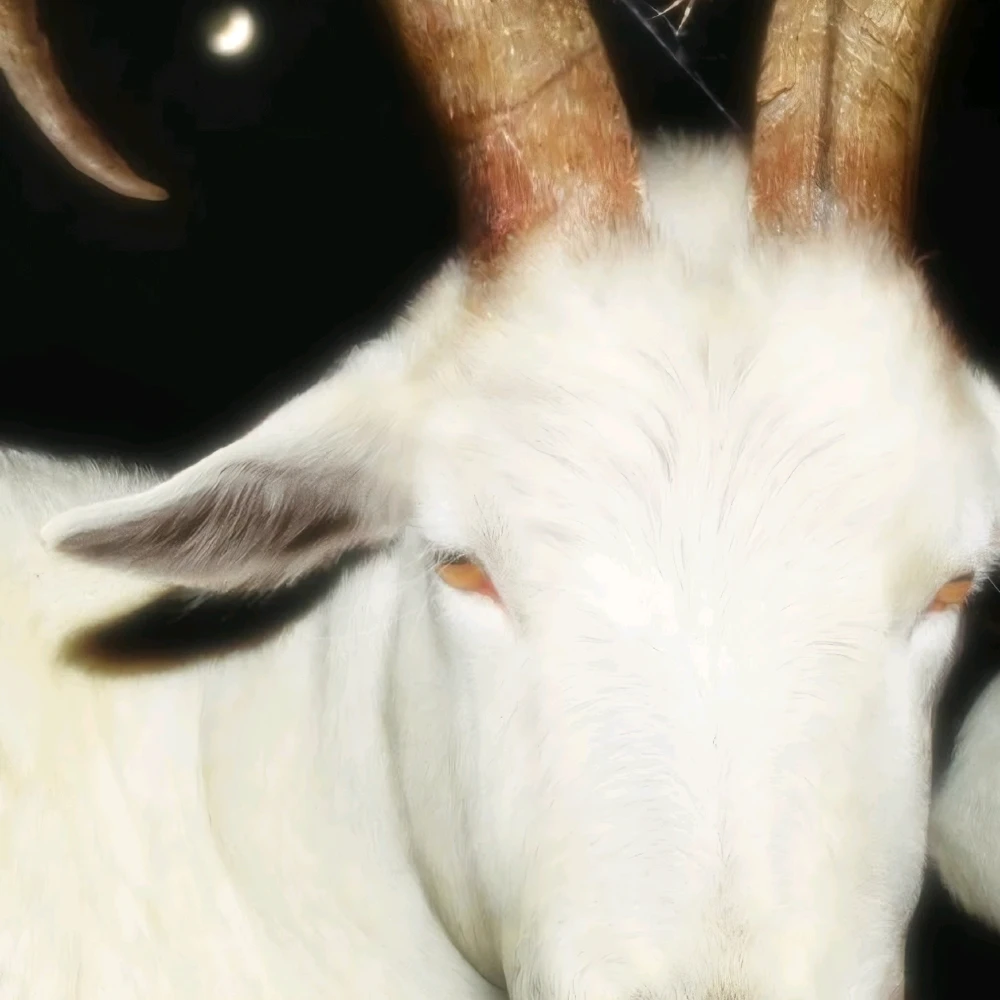 GIF uploaded by Shane