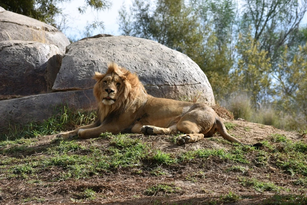 GIF uploaded by Adam