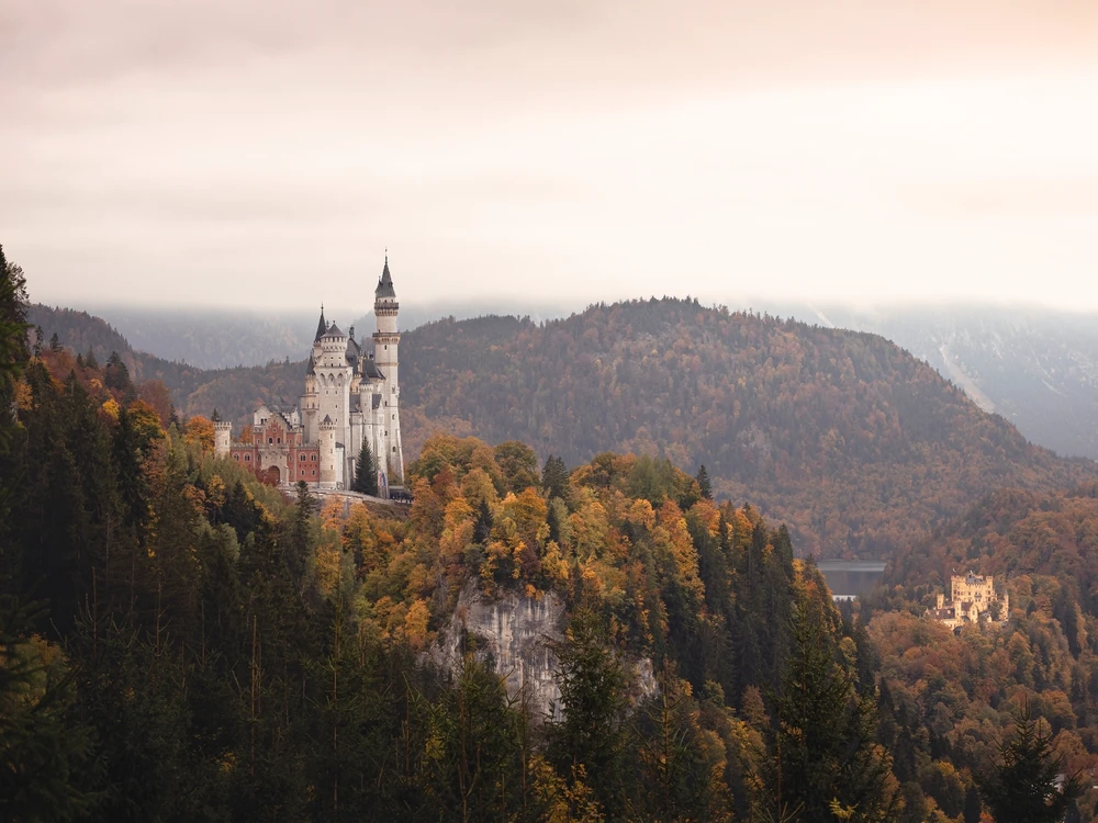 GIF caricata da Stefano