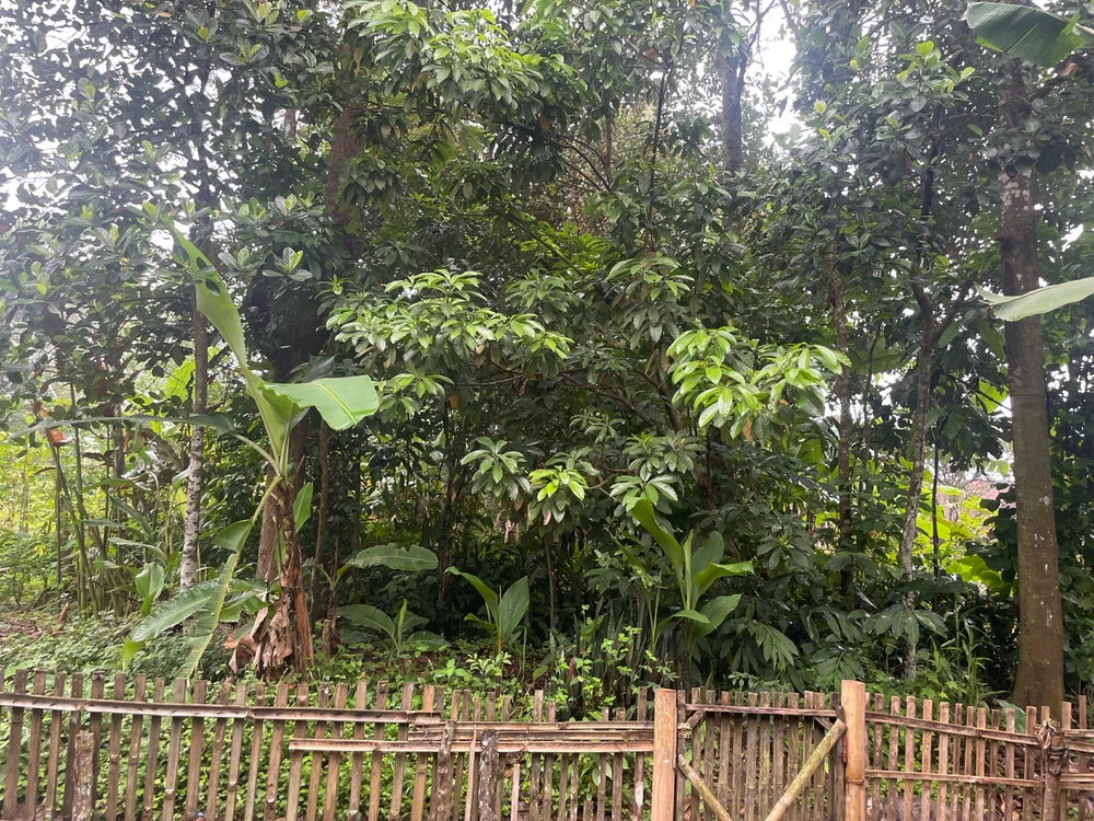 GIF diunggah oleh Cynthia tya