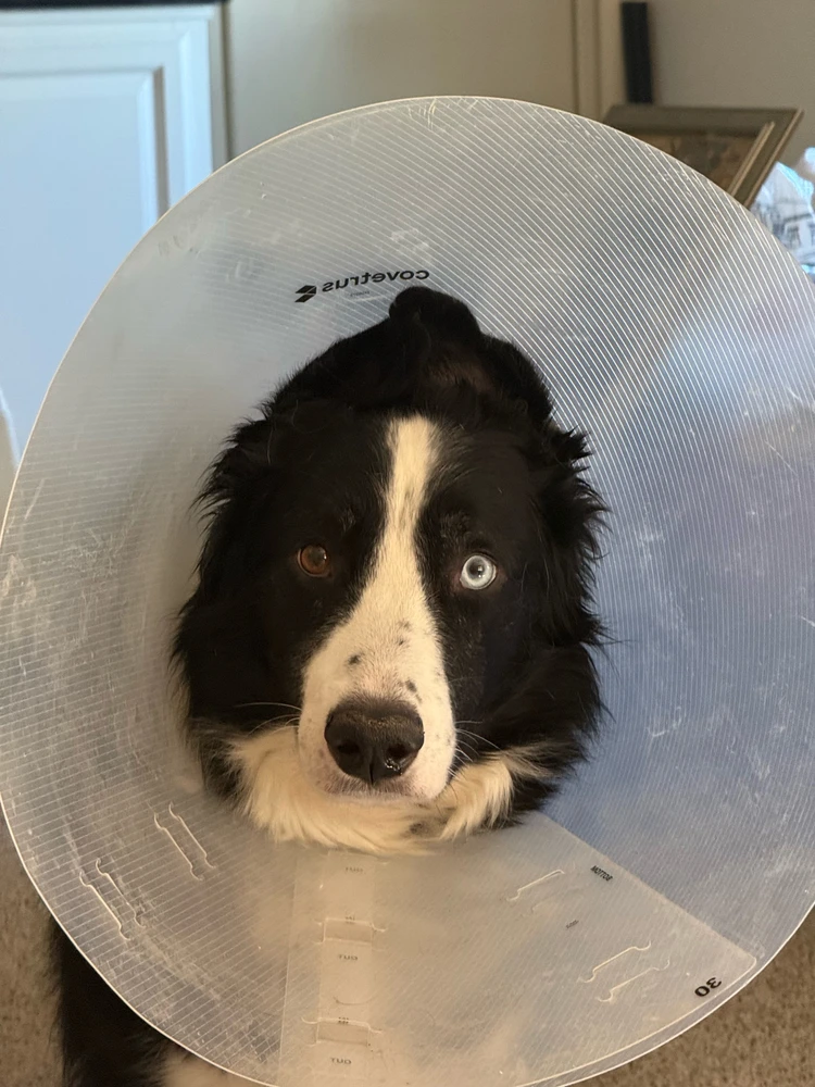 GIF uploaded by Sonya