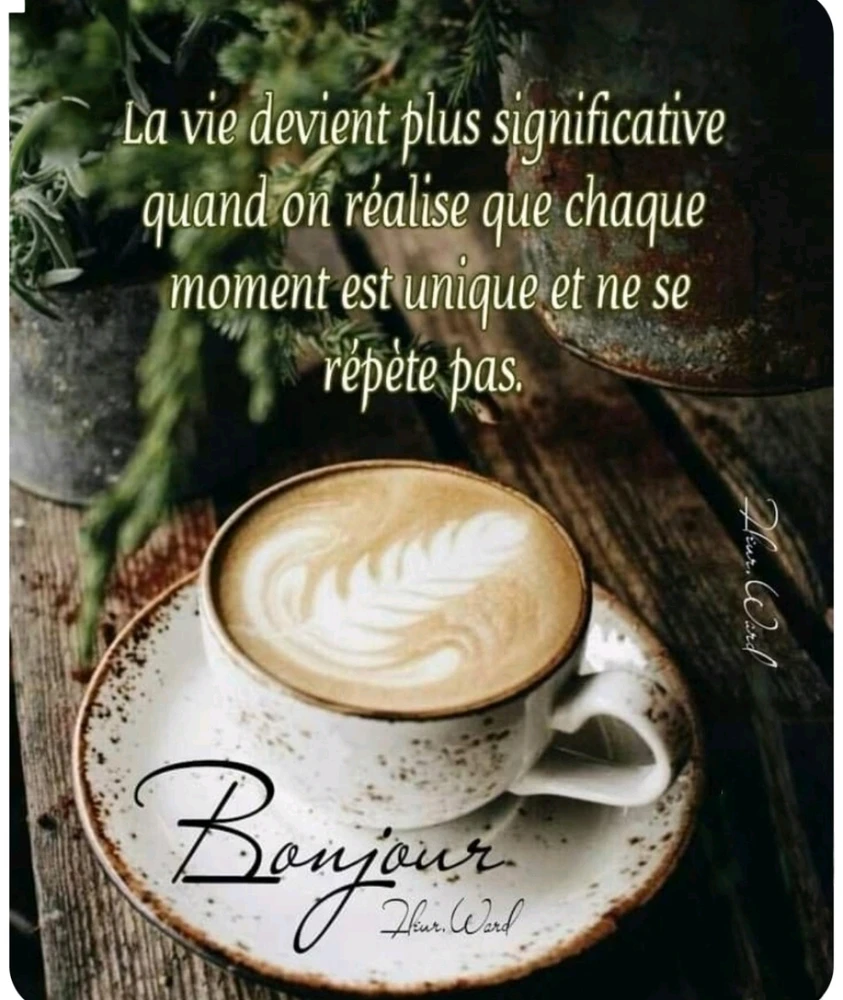 Un coucou du matin 🙋🌸