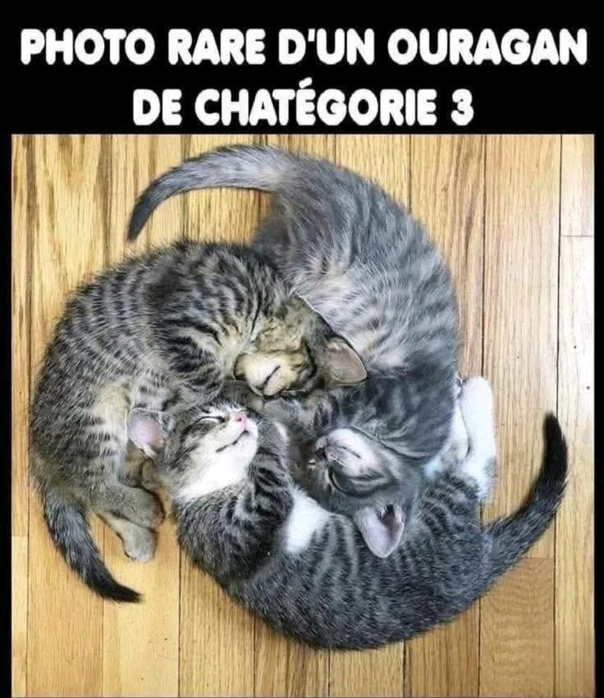GIF ajouté par PJ