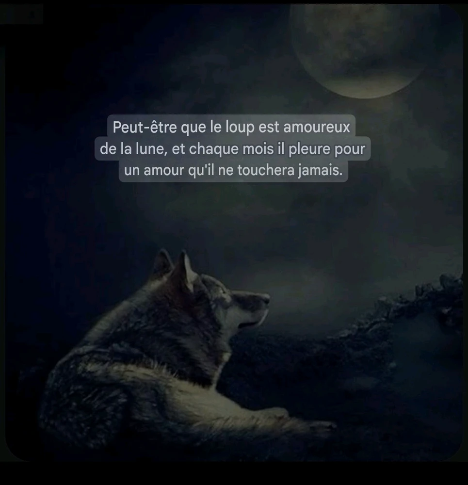 Citation du jour 📖