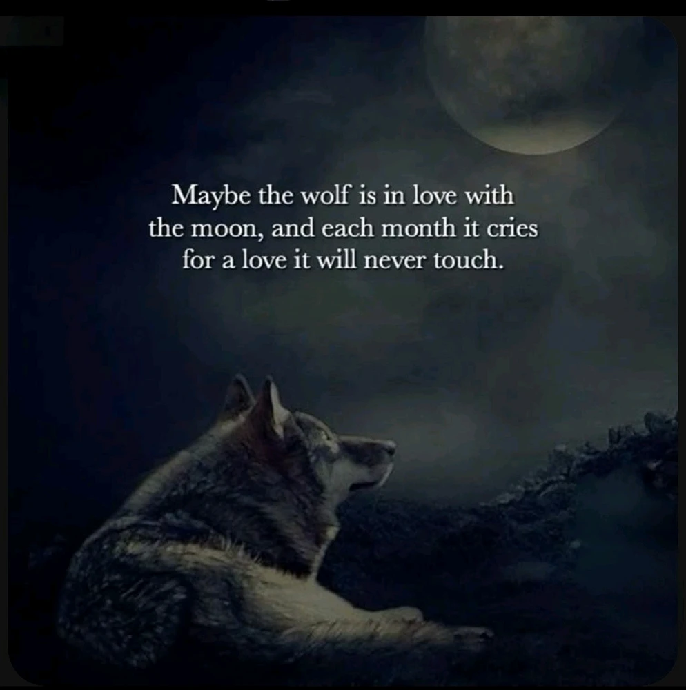 Citation du jour 📖