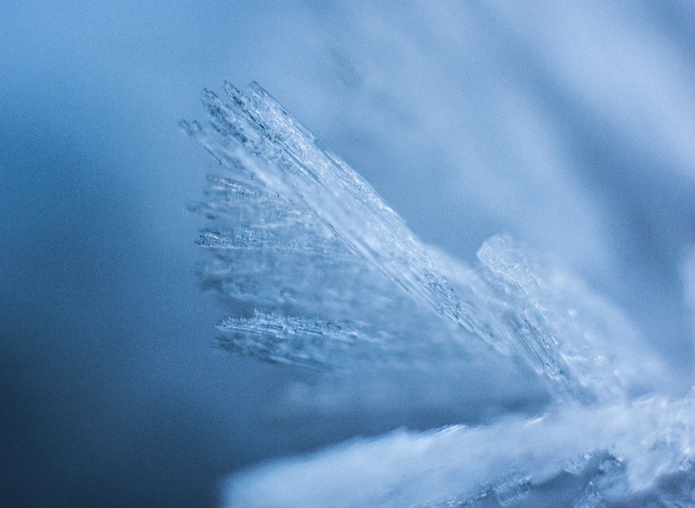 Bild hochgeladen von Laurence