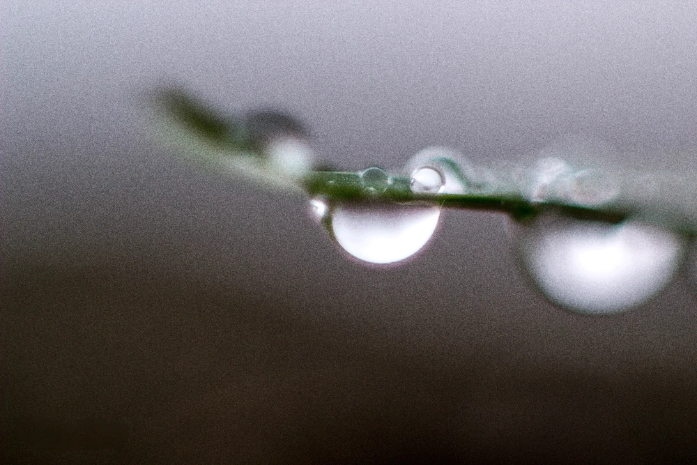 Bild hochgeladen von Laurence