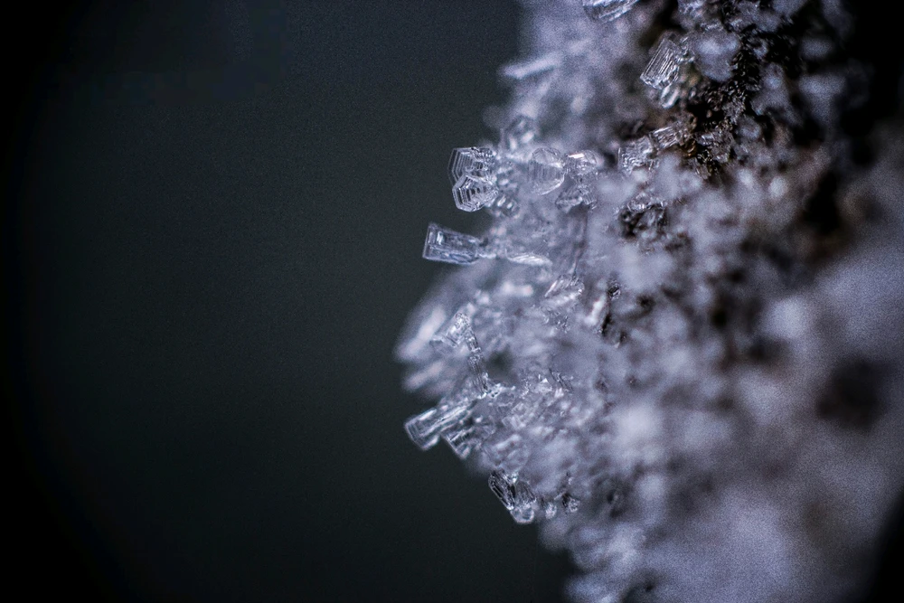 Bild hochgeladen von Laurence