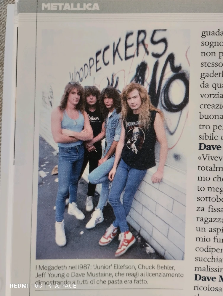 Immagine caricata da Alessandro | alpacigno