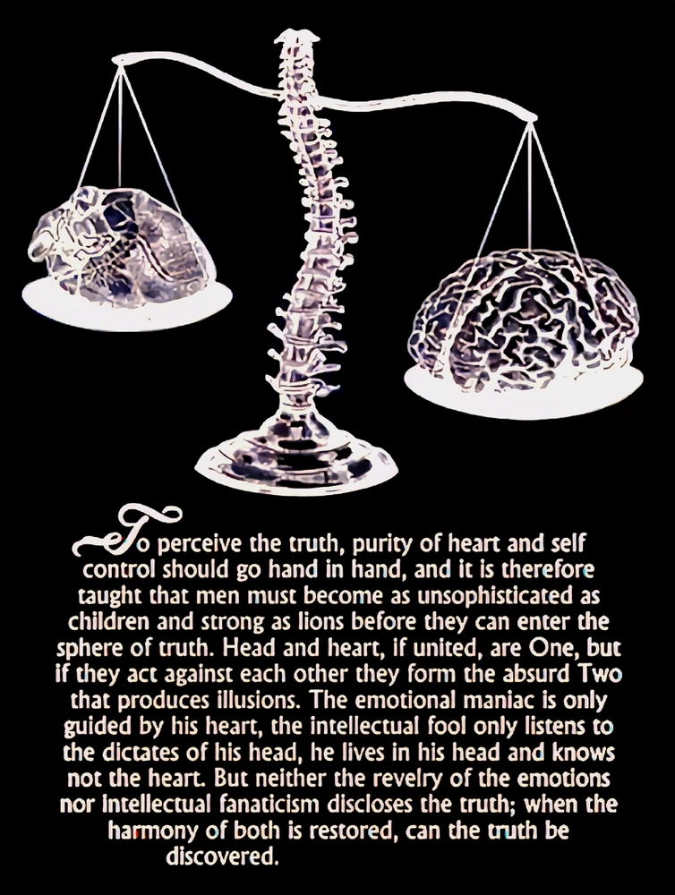 GIF uploaded by Su Purrschaman