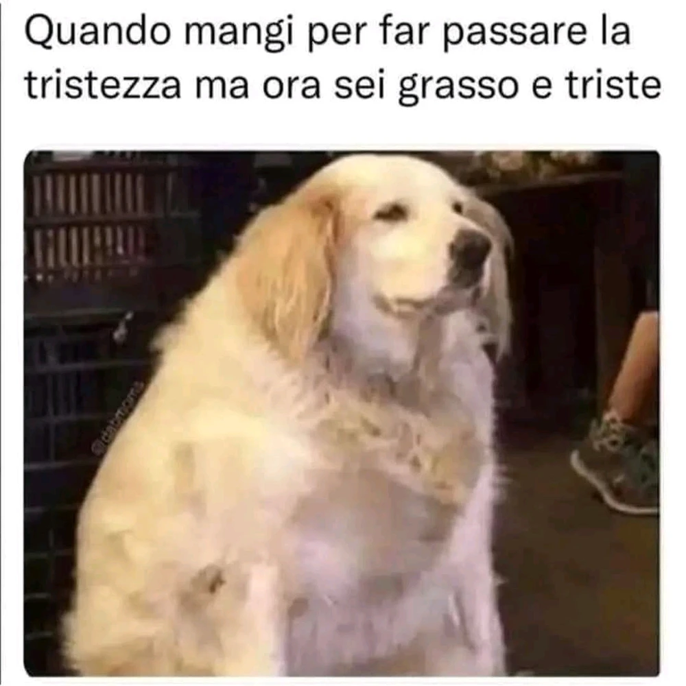 GIF caricata da Dario