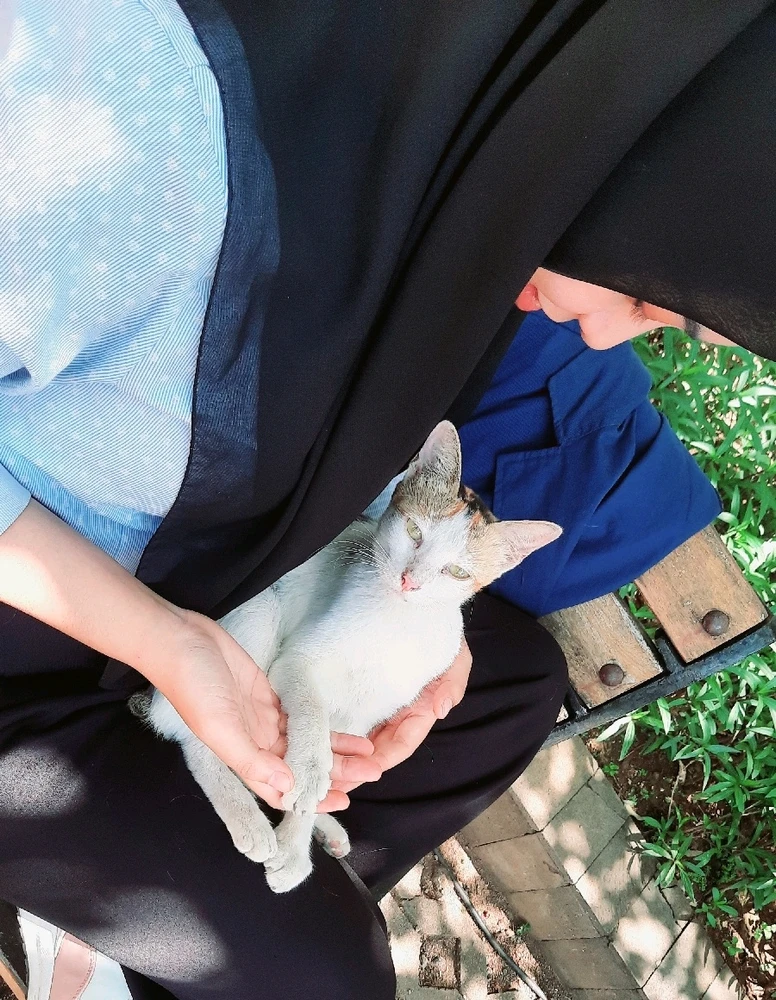 Gambar diunggah oleh Ayu