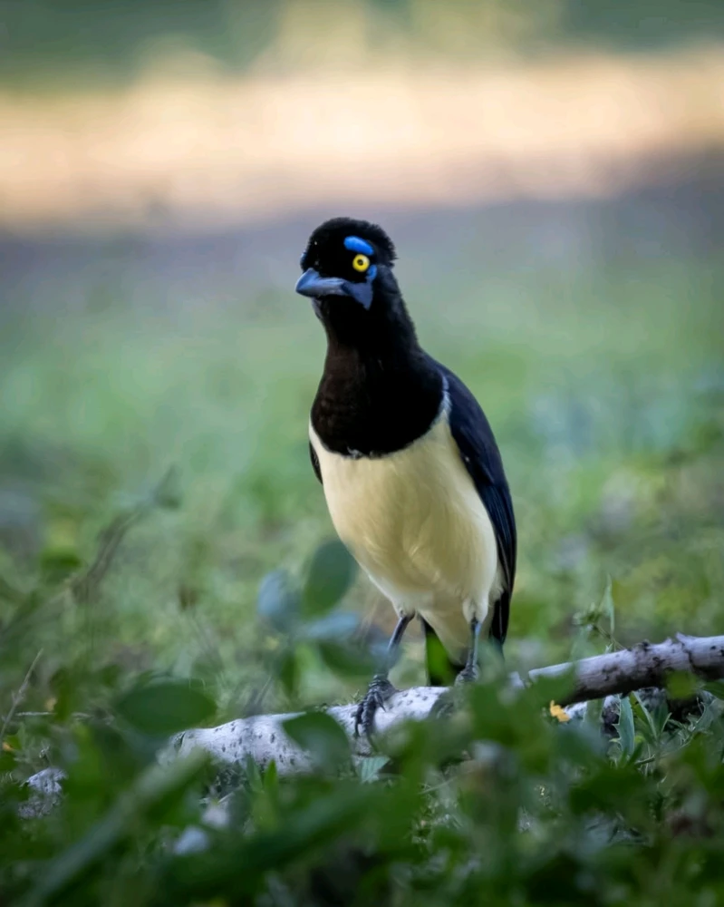 GIF subido por Martín