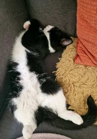 GIF uploaded by Andy