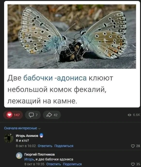 GIF загрузил Boriss