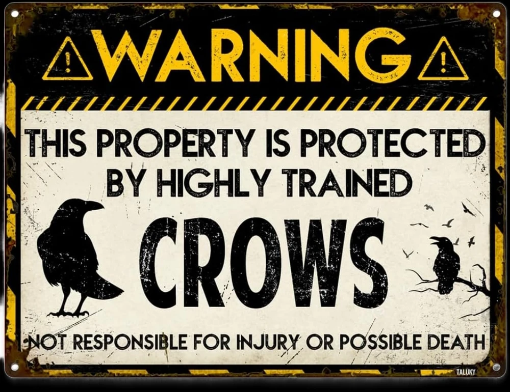 Image uploaded by 𔓎 ꑀꌅ꒐ꈵꁲ 𔓎 ꂵꁲꌅꌅ꒐ꑀꀷ ꋖꊿ ꀷꁲꃔ꒐ꑀ꒒ 𔓎