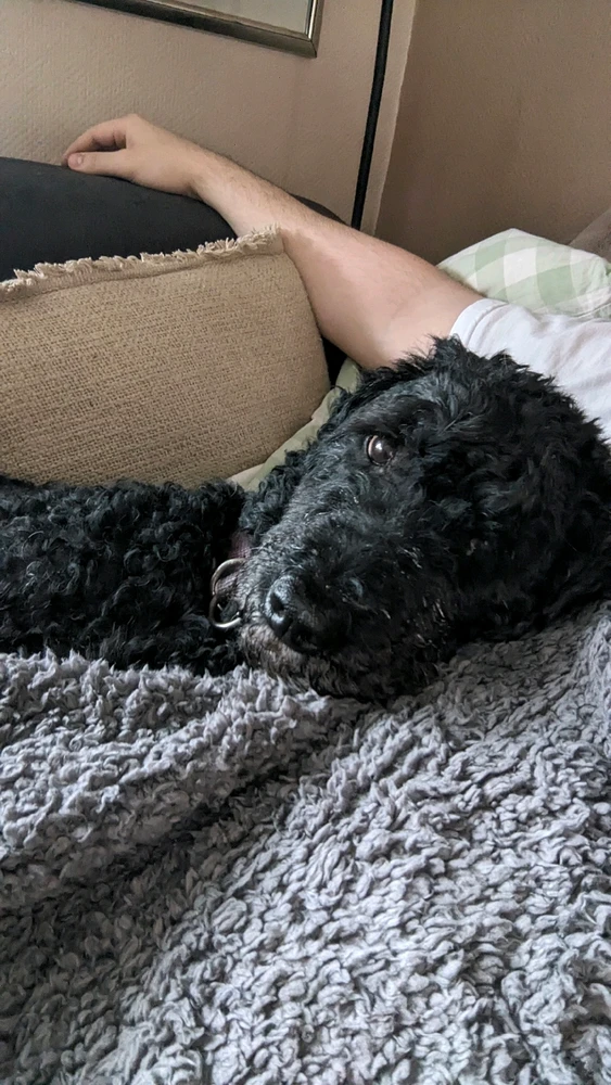 GIF uploaded by Valentin