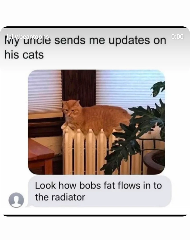 GIF uploaded by Peter