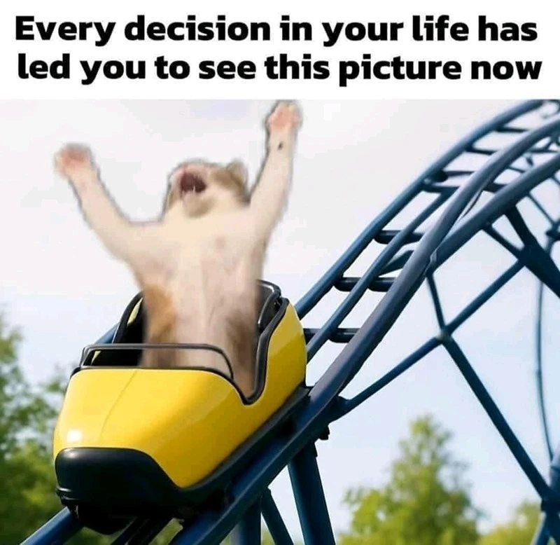 GIF uploaded by Carla