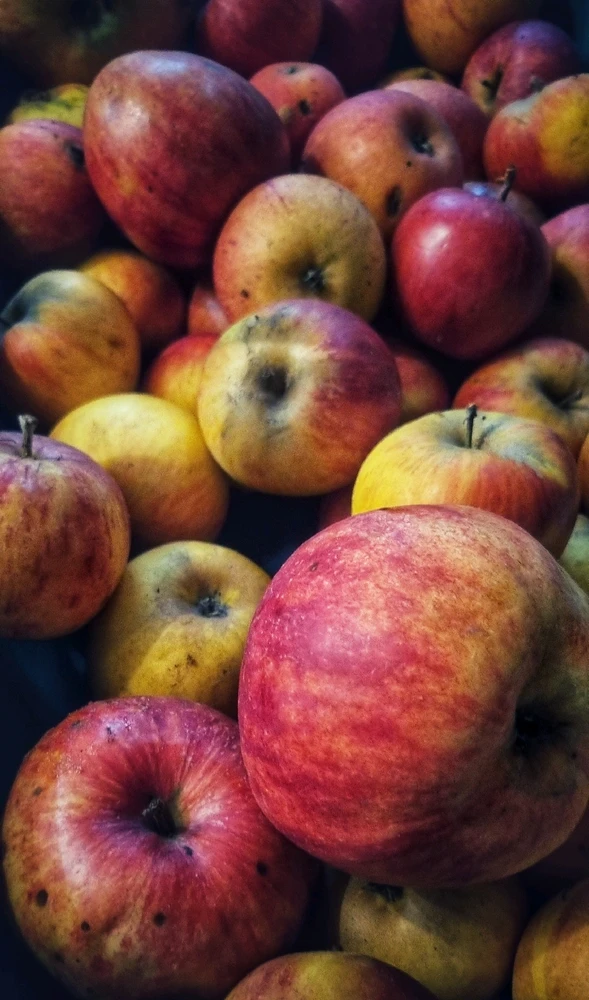 Let's make cider 😋