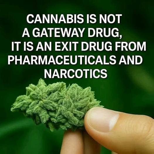 GIF nahrál Vojtěch Štika