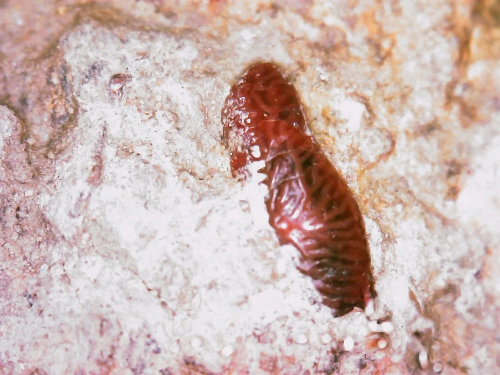 Image uploaded by Hunter Weakley