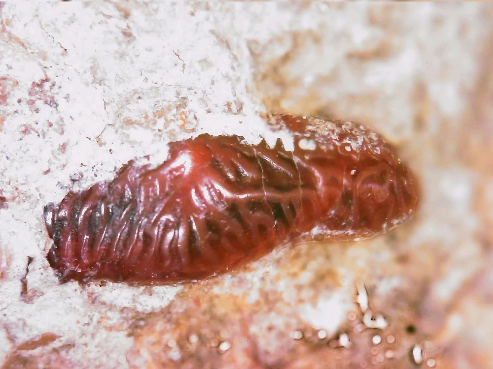 Image uploaded by Hunter Weakley