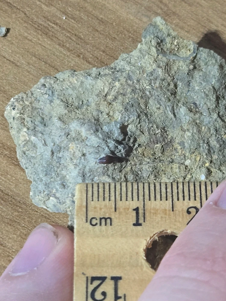 Image uploaded by Hunter Weakley