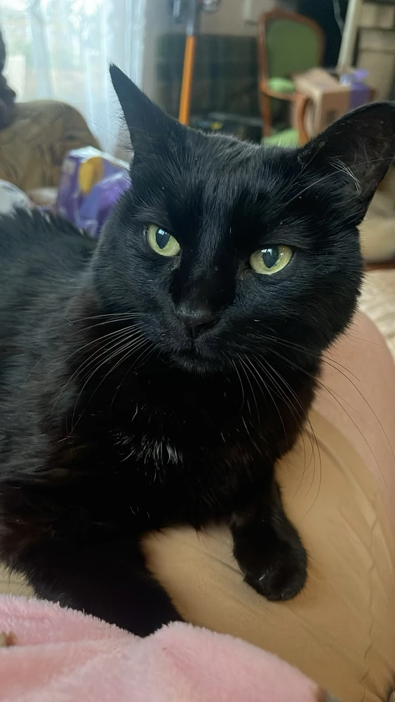 Hey les gens ? Des gens pour faire des arams ? 
Petite photo de mon perso préféré eh eh eh