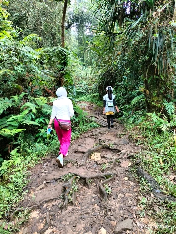 Image uploaded by Qinoy