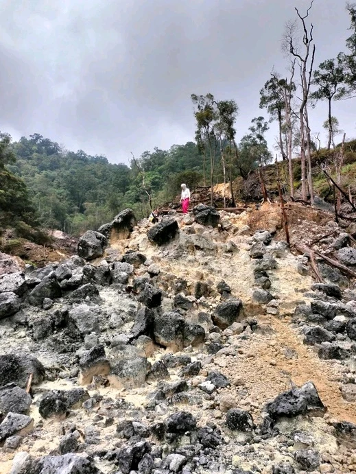 Image uploaded by Qinoy
