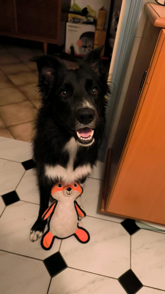 GIF ajouté par Aurélien