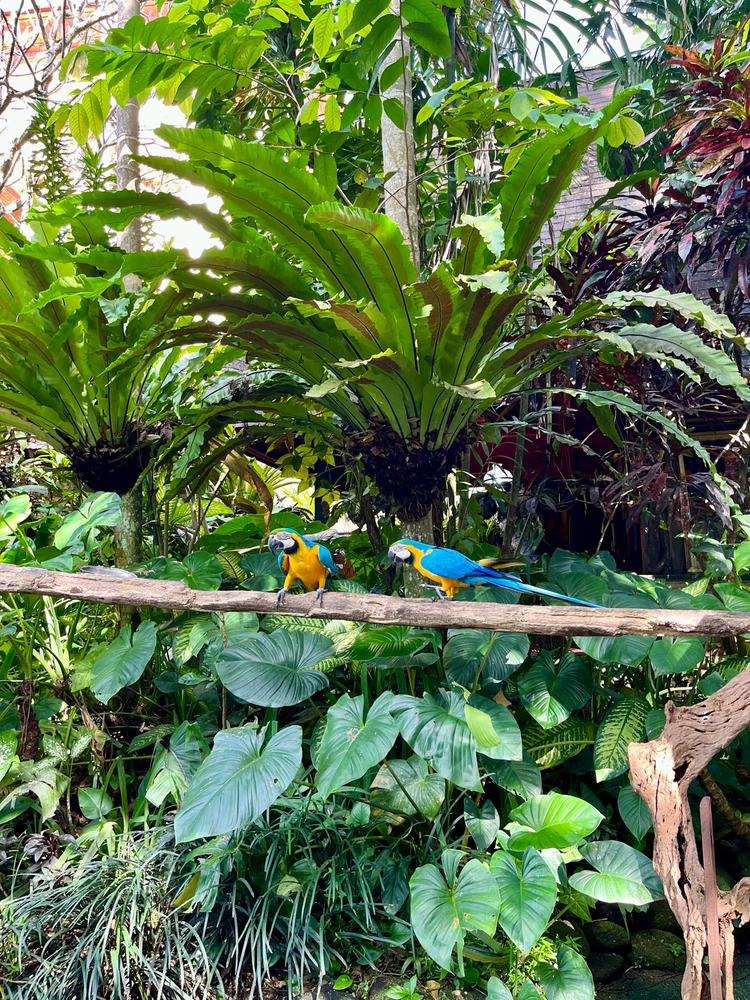 Gambar diunggah oleh Lil