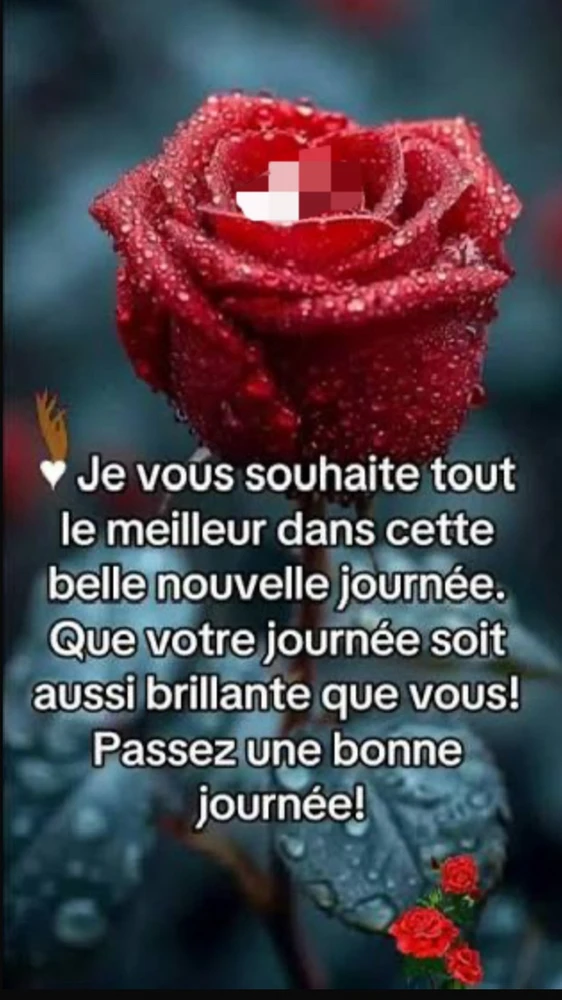 Bon week-end les Boo bonjour