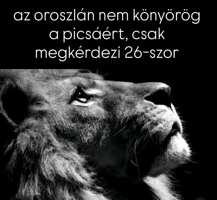 Lazlo által feltöltött GIF