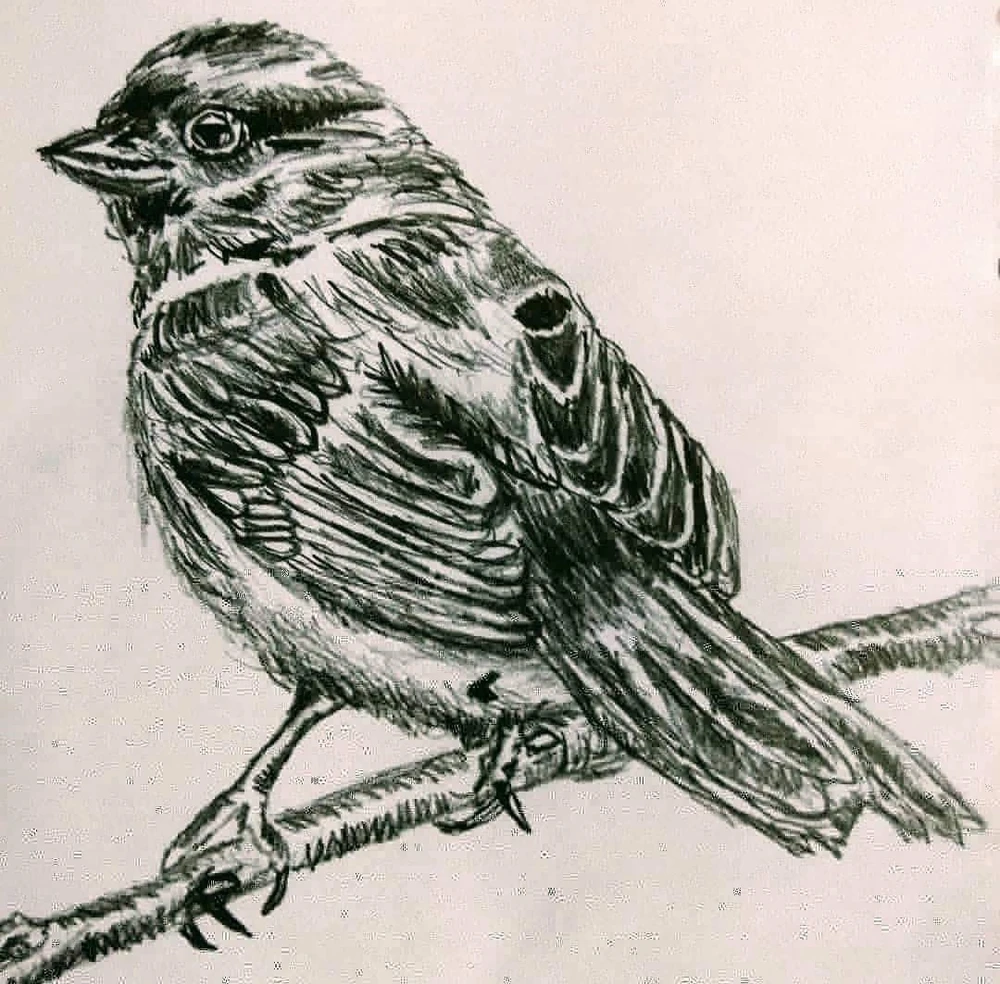 GIF uploaded by Mika