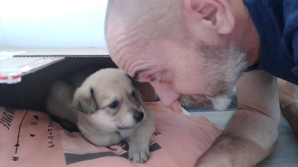 New level of love unlocked 
Caucasian shepherd 💓