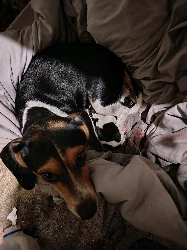 Image uploaded by Kelly