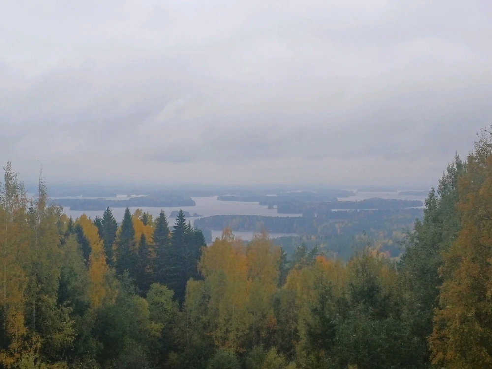 GIF-tiedoston lisäsi Veikko