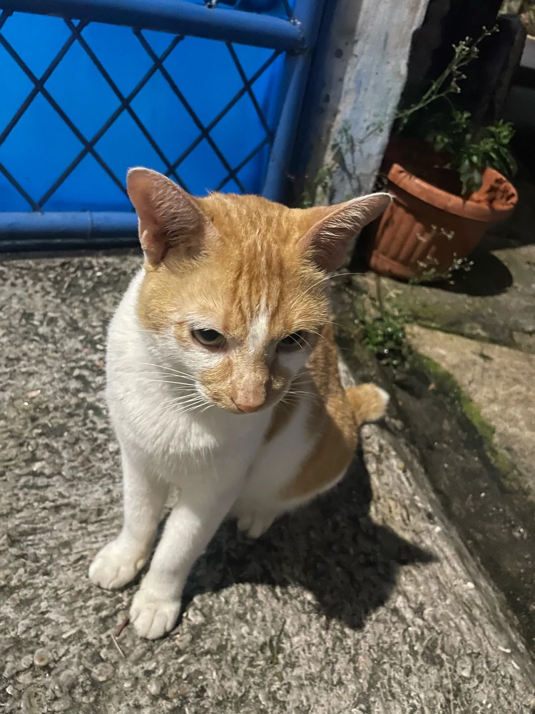 GIF uploaded by Bek
