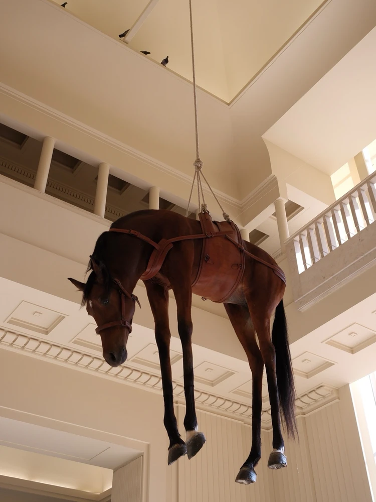 Imagem enviada por Pedro