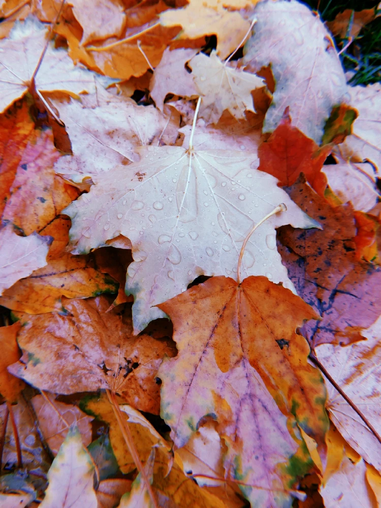 GIF uploaded by Галина ฅ⁠^⁠•⁠ﻌ⁠•⁠^⁠ฅ