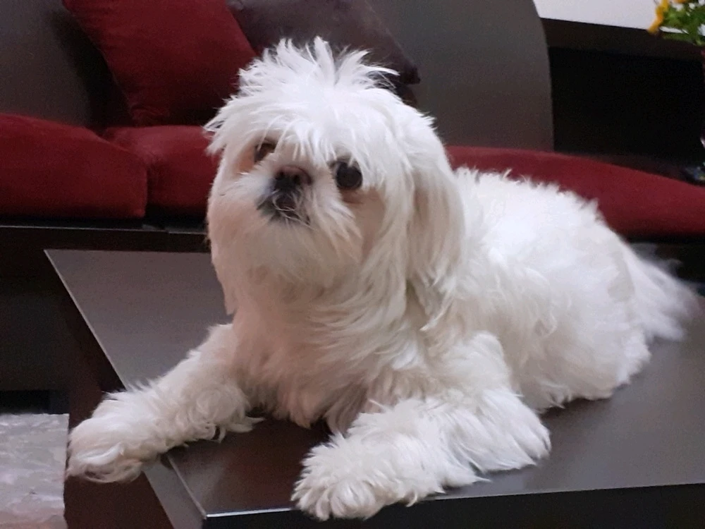 تصویر آپلود شده توسط Elahi