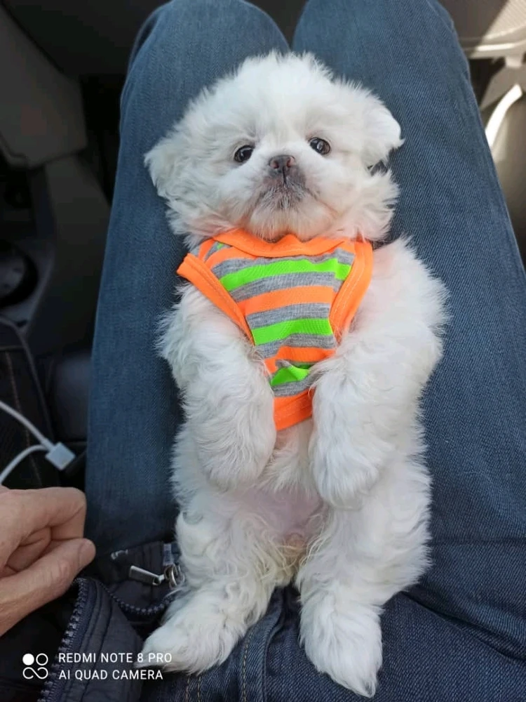 تصویر آپلود شده توسط Elahi