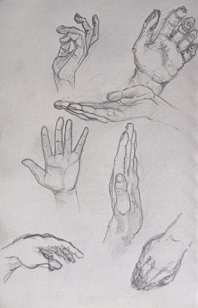 Quelques croquis d'observations