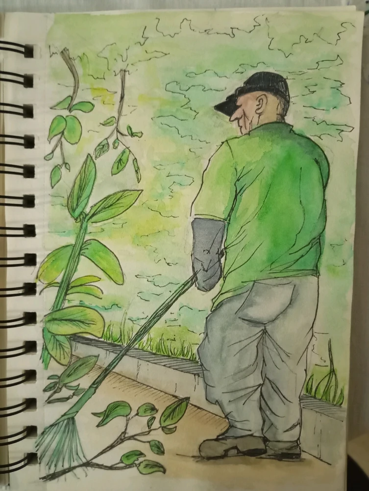 Quelques croquis d'observations