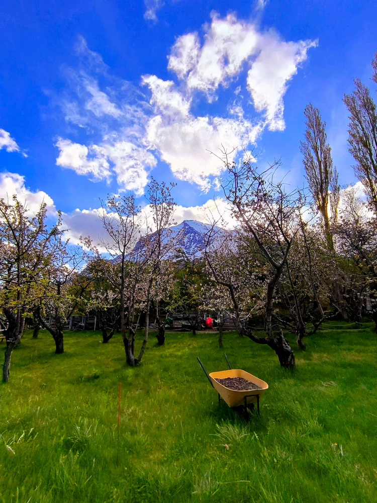 GIF subido por Matías