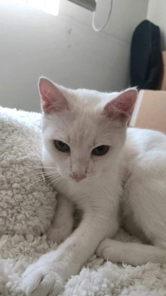 GIF subido por Bruno